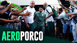 Torcida de Goiânia recebe o Verdão com festa; assista