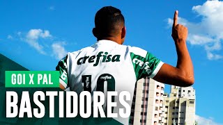 Assista aos bastidores do empate com o Goiás