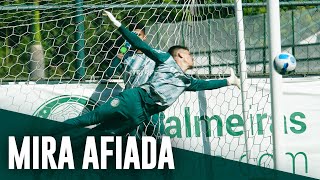 Palmeirenses mostram boa pontaria em treino de cobranças de falta; assista