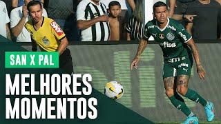 TV Palmeiras: gols e lances da vitória sobre o Santos