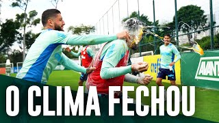 TV Palmeiras: treino de sexta-feira + ovada em Gómez