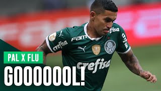 Assista ao gol de Dudu contra o Fluminense