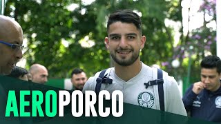 TV Palmeiras: com reforços, Verdão chega em Belo Horizonte para enfrentar o América-MG