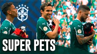 Vídeo: Palmeiras faz ação para incentivar adoção responsável de animais e promover filme