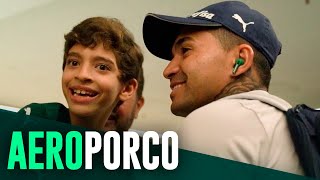 TV Palmeiras: treino de sexta-feira + viagem a Fortaleza