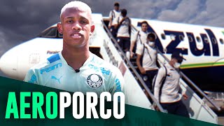 TV Palmeiras: treino de terça-feira + viagem a Belo Horizonte