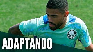 TV Palmeiras: treino de quarta-feira + papo com Bruno Tabata