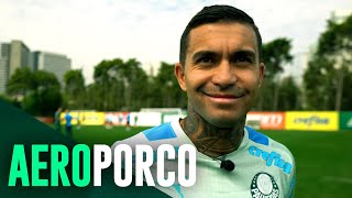 TV Palmeiras: treino de sexta-feira + viagem ao Rio de Janeiro