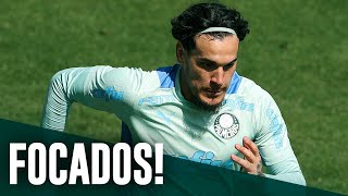 TV Palmeiras: treino de segunda-feira + papo com Gómez