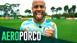 TV Palmeiras: treino de domingo + viagem a Goiânia