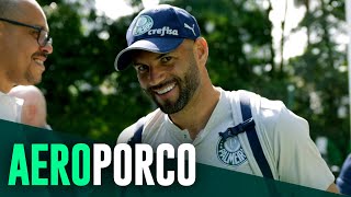 TV Palmeiras: treino de segunda-feira + viagem a Curitiba
