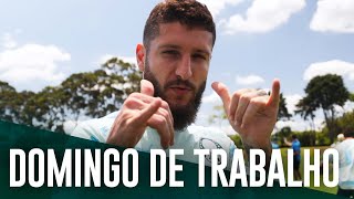 TV Palmeiras: treino de domingo + papo com Zé Rafael