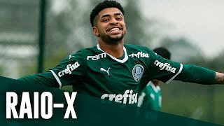 TV Palmeiras: Wendell se apresenta à torcida; veja gols do centroavante