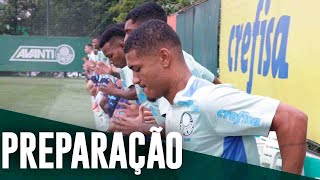 TV Palmeiras: Sub-20 inicia preparação para disputar Copa São Paulo