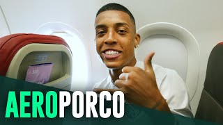 TV Palmeiras: treino + viagem para enfrentar o Mirassol
