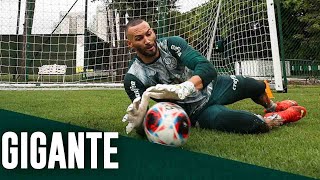 Weverton volta a treinar e fala à TV Palmeiras