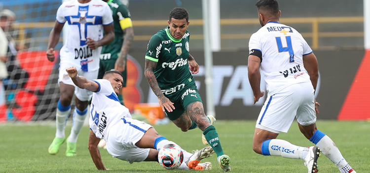 Palmeiras inicia preparação para a semifinal do Campeonato Paulista - PTD