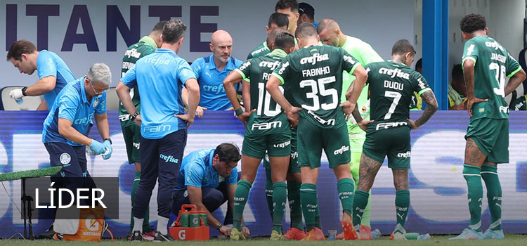 Palmeiras dispara na classificação geral do Campeonato Paulista; veja - PTD