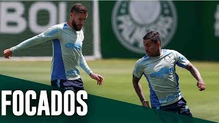 Verdão treina para o clássico e Dudu fala à TV Palmeiras