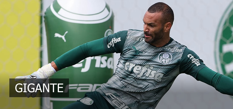 Palmeiras busca se isolar como brasileiro com mais finais de