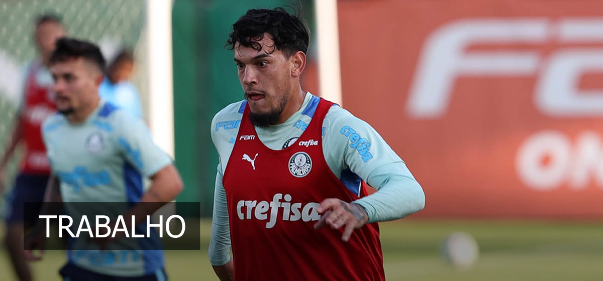 Palmeiras inicia preparação para enfrentar o Cerro Porteño; Gómez tem fissura na face