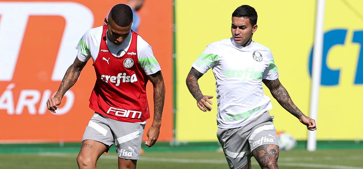 Palmeiras faz treino tático na véspera do jogo contra o Coritiba; veja provável escalação
