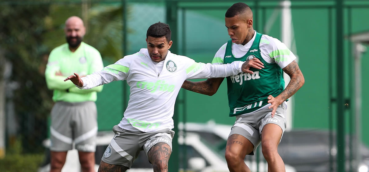 Palmeiras treina mirando retomada do Brasileirão; Jailson sofre lesão no joelho