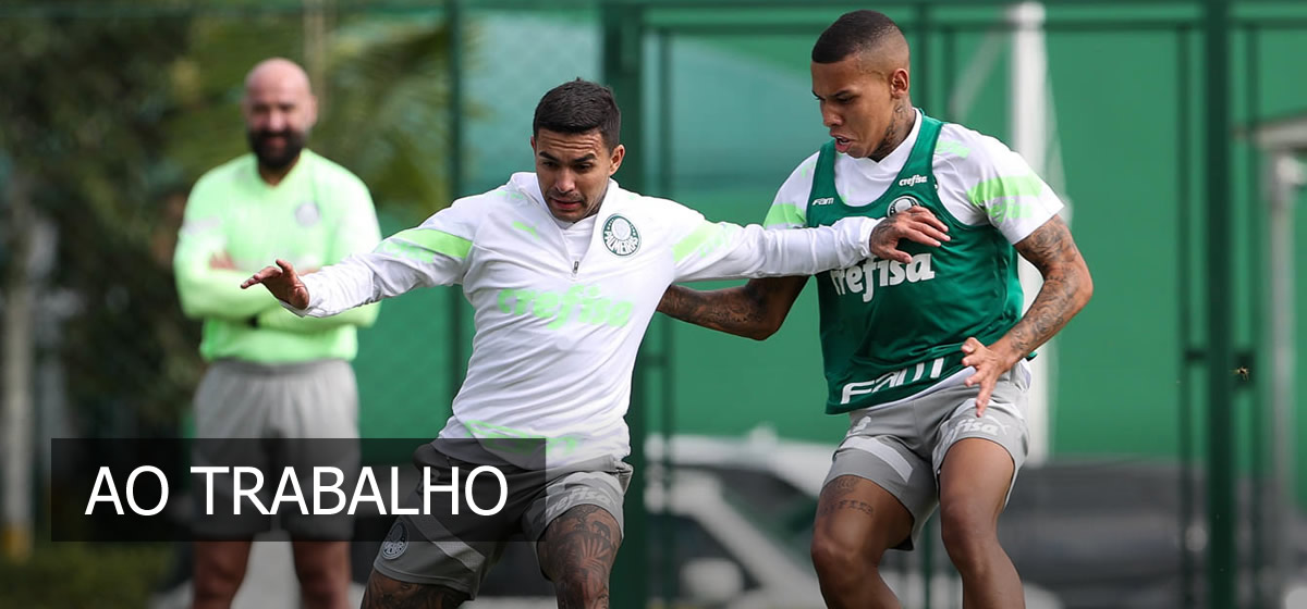 Palmeiras treina mirando retomada do Brasileirão; Jailson sofre lesão no joelho