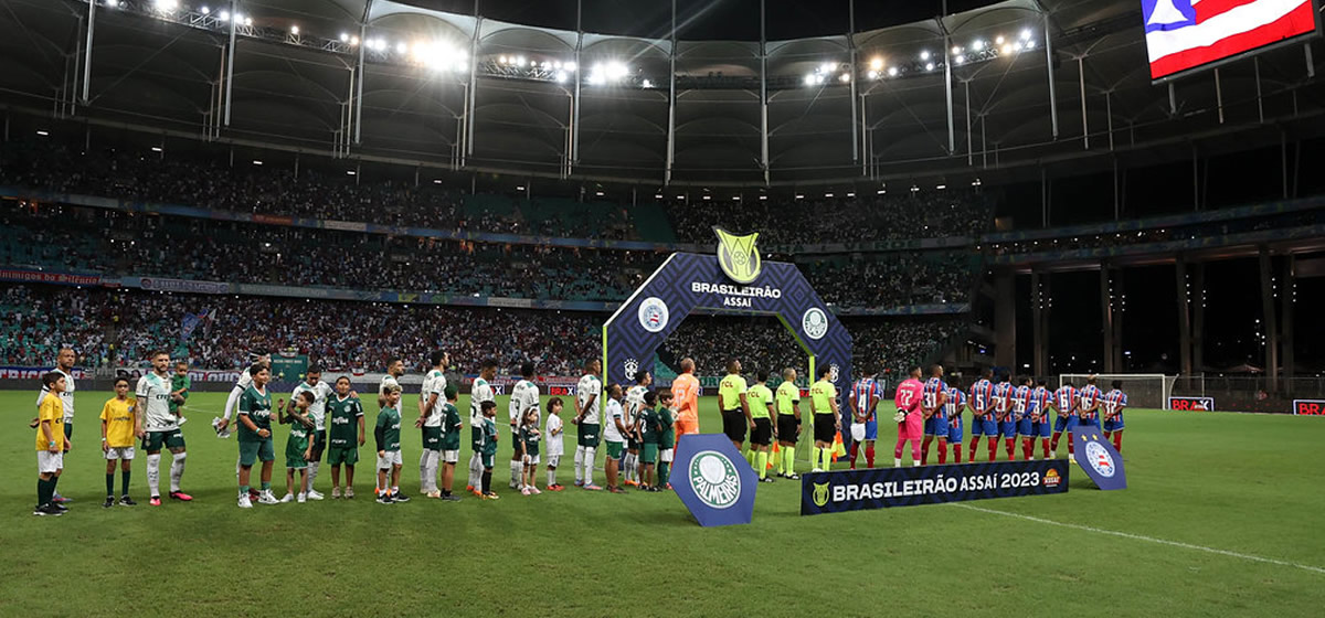 Botafogo vence, Flamengo é goleado, e Palmeiras termina a rodada mais longe do líder, mas em segundo