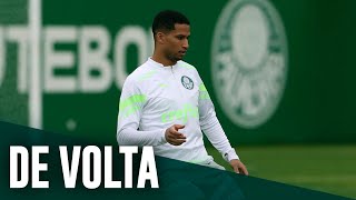 TV Palmeiras: treino de quarta-feira + papo com Murilo
