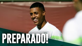 TV Palmeiras: treino de segunda-feira + papo com Vanderlan