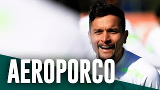 TV Palmeiras: treino de terça-feira + viagem a Salvador