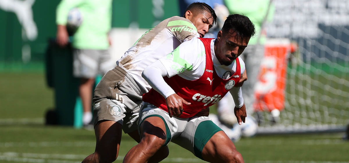 Palmeiras enfrenta o Bolívar valendo a liderança do grupo na Libertadores