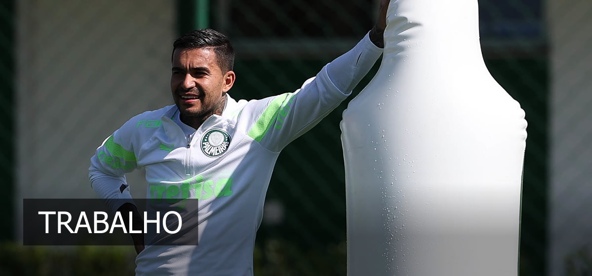 Palmeiras faz primeiro treino para jogo da Libertadores; Dudu evolui