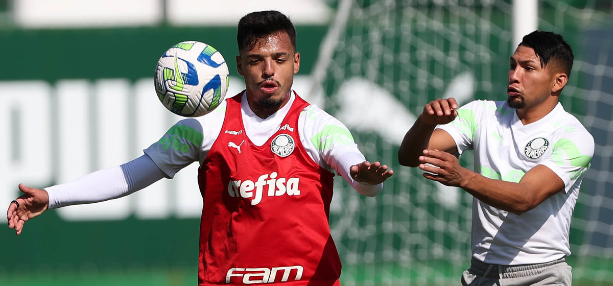 Palmeiras segue preparação para enfrentar o São Paulo; escalação tem uma dúvida