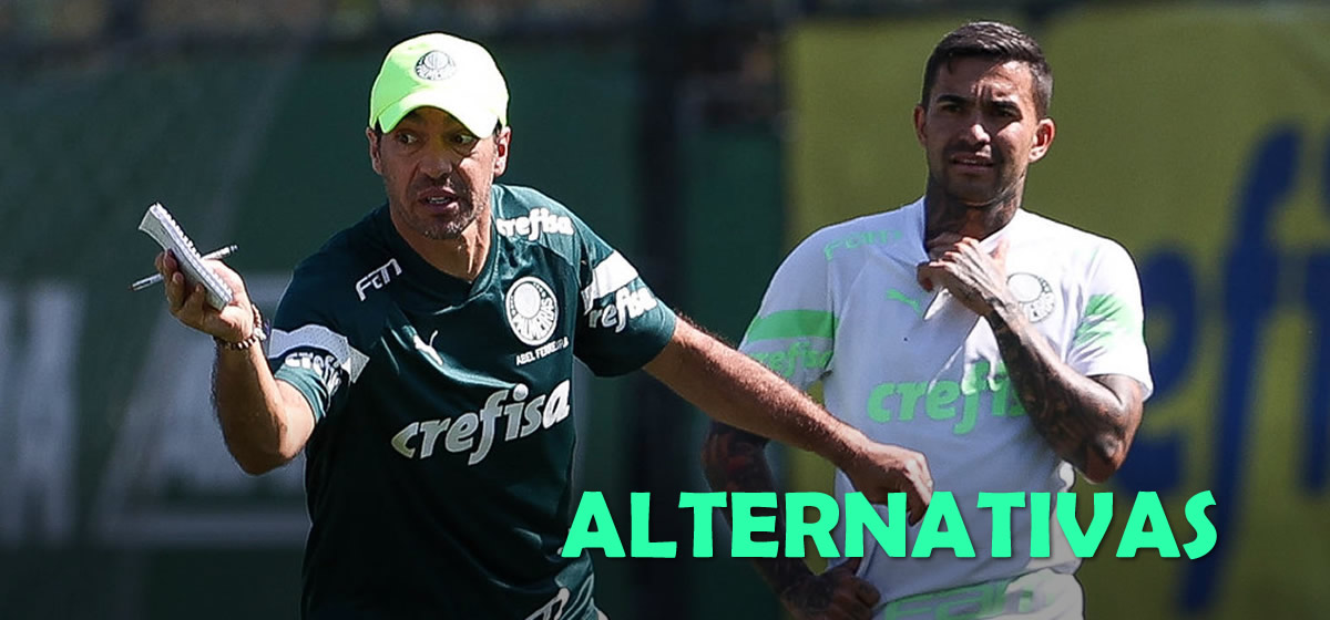 Veja 7 opções para Abel armar o Palmeiras sem Dudu