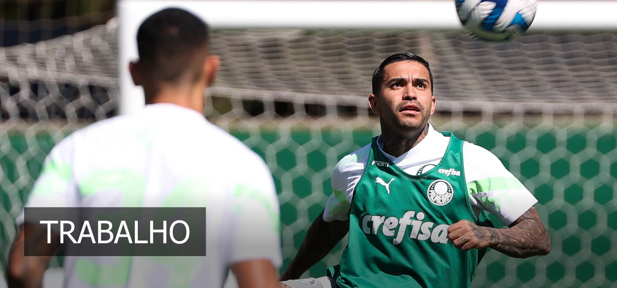 Palmeiras inicia preparação para jogo contra o Atlético-MG pela Libertadores
