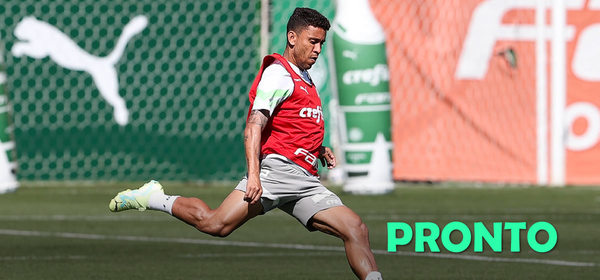 Palmeiras encerra preparação para enfrentar o Cuiabá; veja provável escalação com 5 desfalques