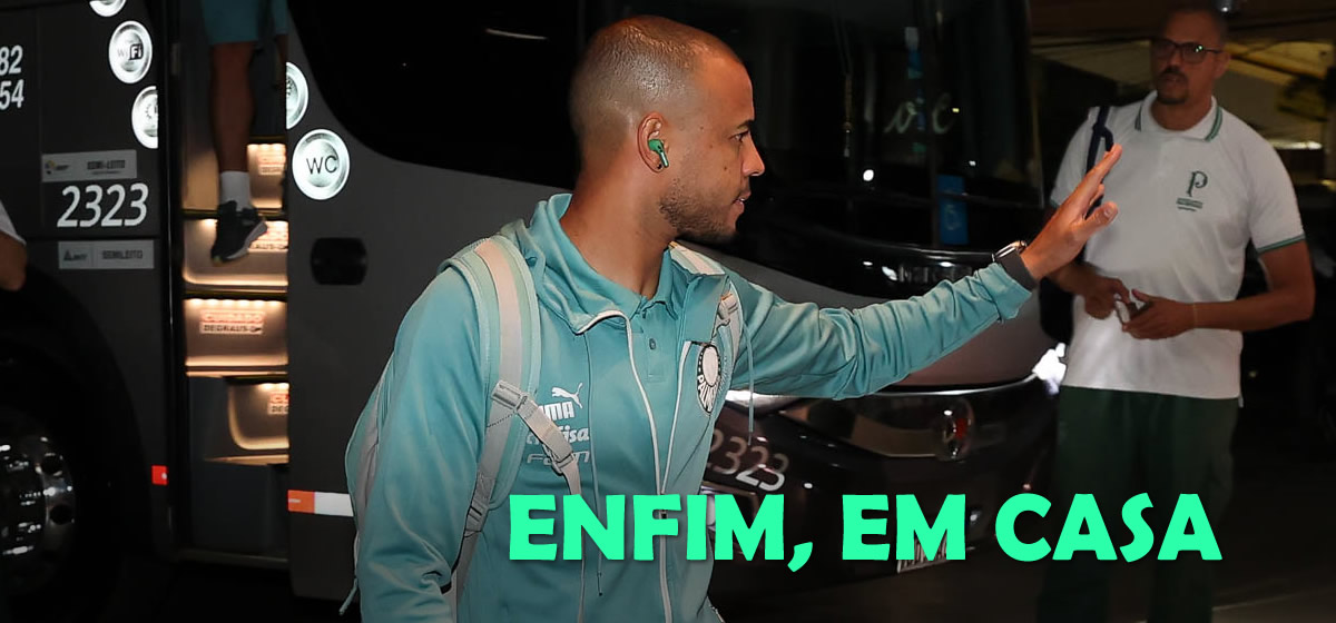 Palmeiras chega ao Brasil após maratona; time fará 1 treino para enfrentar o Vasco
