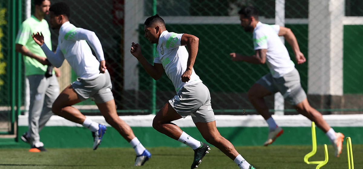 Missão impossível? Veja matemática necessária para o Palmeiras disputar o título do Brasileirão