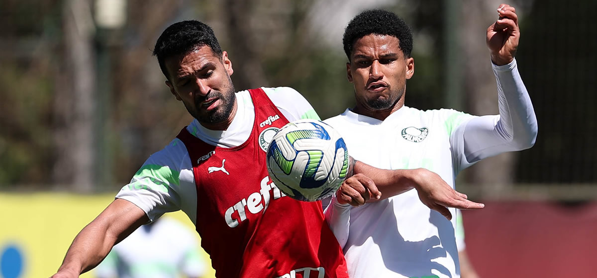 Palmeiras treina mirando jogo contra o Goiás; Dudu inicia fisioterapia