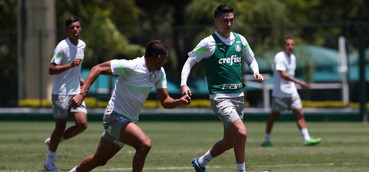 Palmeiras se reapresenta após humilhar o São Paulo pela 8ª vez no Allianz Parque