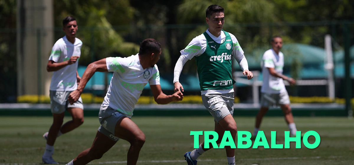 Palmeiras se reapresenta após humilhar o São Paulo pela 8ª vez no Allianz Parque