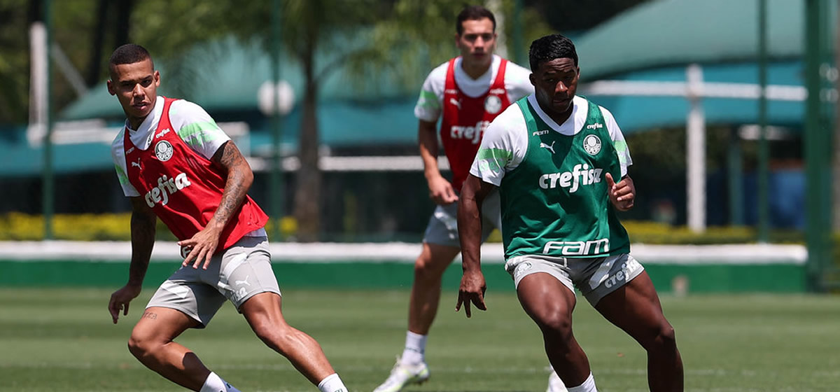 Palmeiras inicia preparação para a semifinal do Campeonato Paulista - PTD