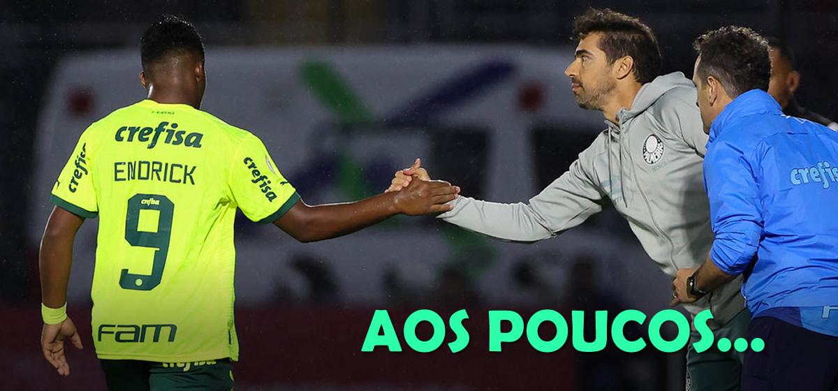 Abel elogia garotos e explica processo para ganharem mais oportunidades