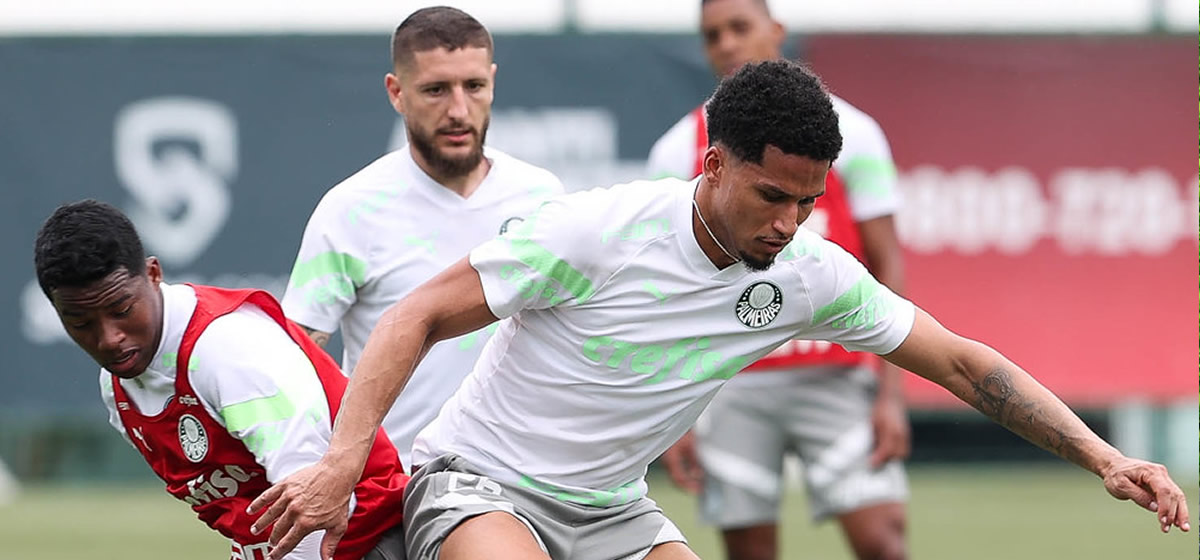 Palmeiras visita o Botafogo para voltar a sonhar com o título do Brasileirão