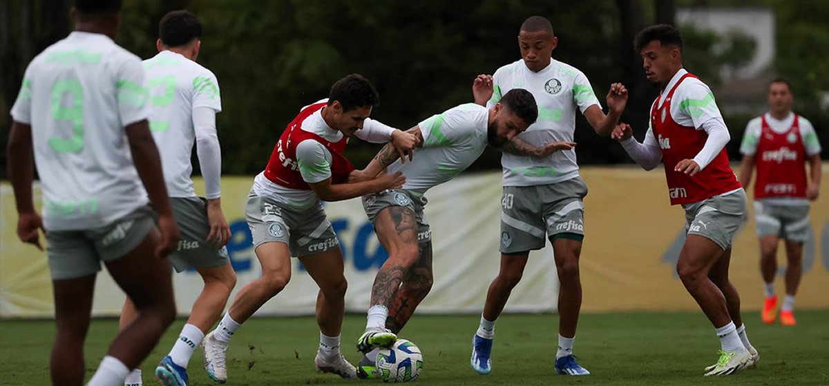 Palmeiras enfrenta o Santos para voltar a ter "gordura" no G4 do Brasileirão