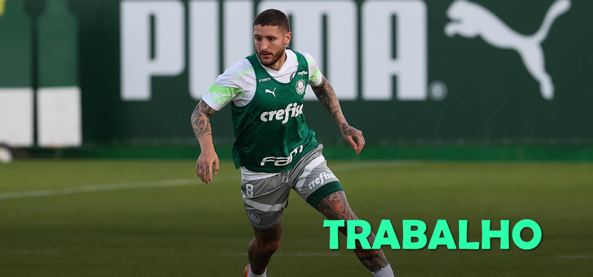 Palmeiras inicia preparação para enfrentar o Botafogo; Abel terá reforço