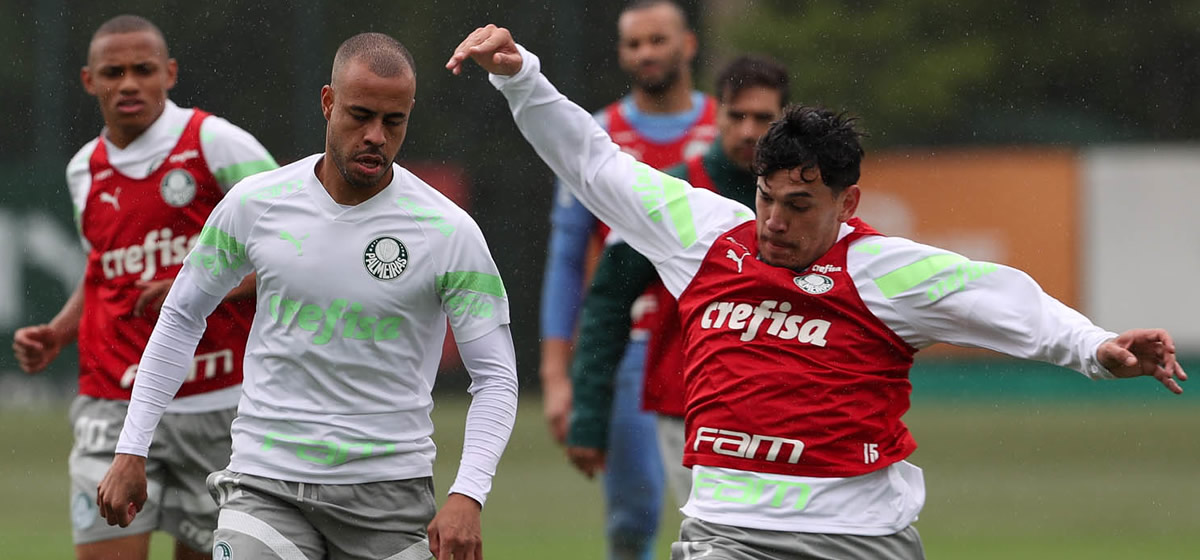 Palmeiras enfrenta o Fortaleza para defender a liderança do Brasileirão
