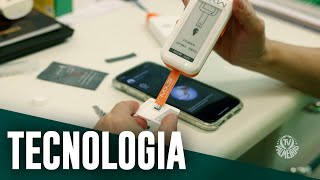 Vídeo: conheça a tecnologia australiana usada pelo Palmeiras contra o calor